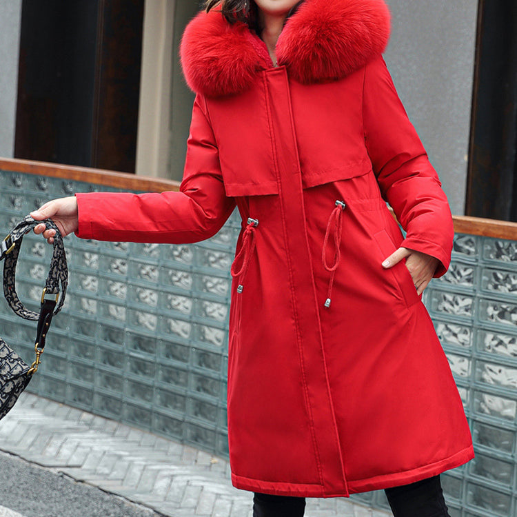 CM Fe | Chaqueta de invierno elegante y moderna